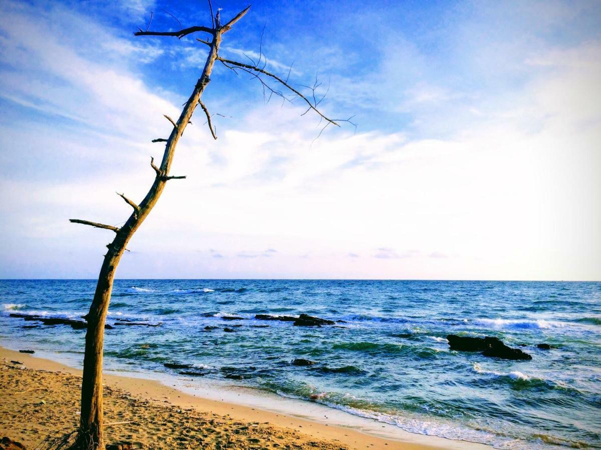 Roise Paradise Phú Quý Zewnętrze zdjęcie
